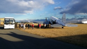 grass runway